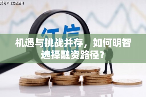 沙洋机遇与挑战并存，如何明智选择融资路径？