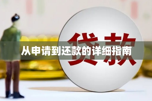 沙洋从申请到还款的详细指南