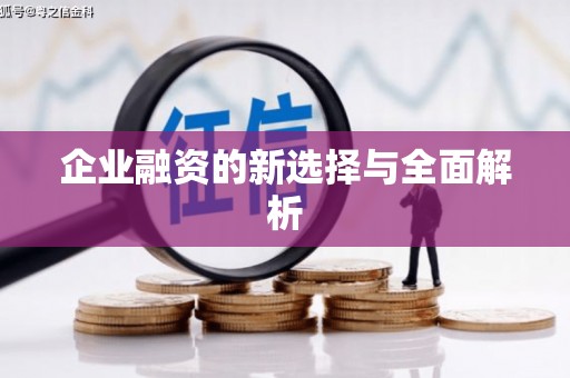 沙洋企业融资的新选择与全面解析