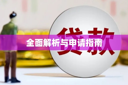 沙洋全面解析与申请指南