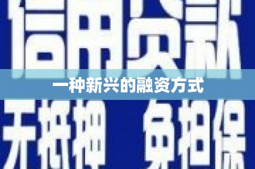 沙洋一种新兴的融资方式
