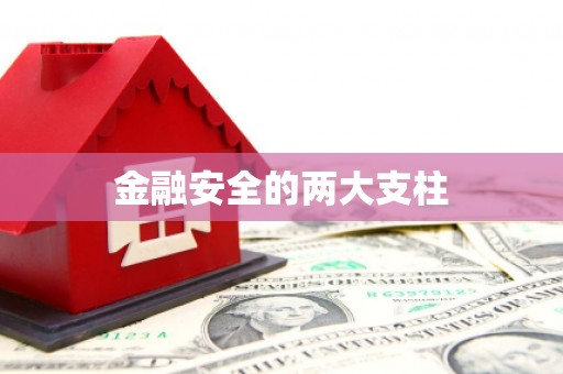 沙洋金融安全的两大支柱