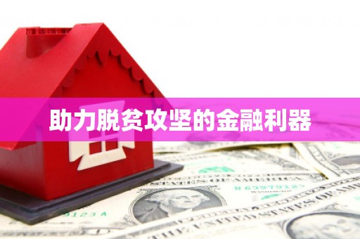沙洋助力脱贫攻坚的金融利器