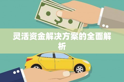 沙洋灵活资金解决方案的全面解析