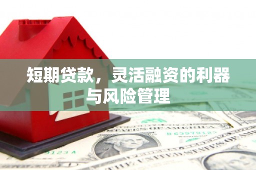 沙洋短期贷款，灵活融资的利器与风险管理