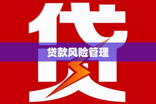 沙洋贷款风险管理
