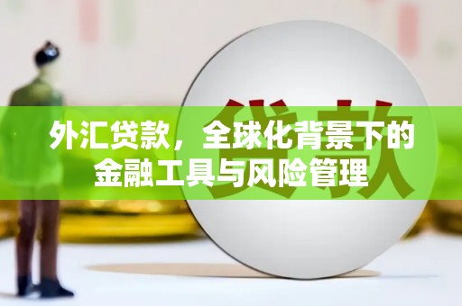 沙洋外汇贷款，全球化背景下的金融工具与风险管理