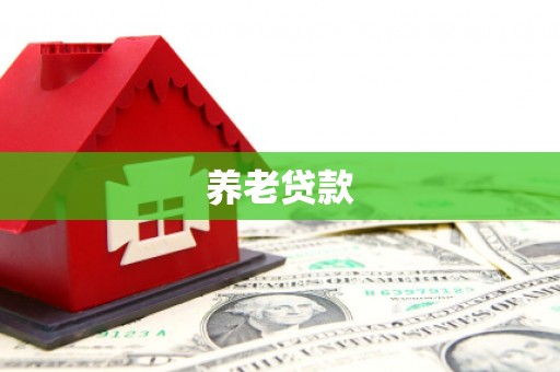 沙洋养老贷款