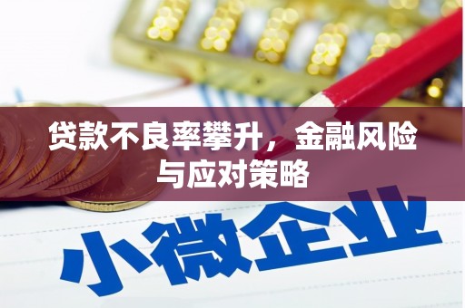 沙洋贷款不良率攀升，金融风险与应对策略