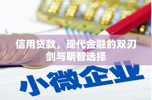 沙洋信用贷款，现代金融的双刃剑与明智选择