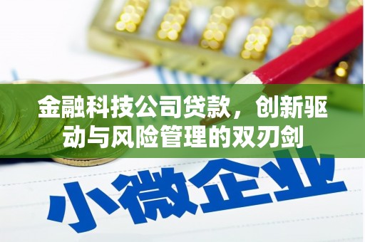 沙洋金融科技公司贷款，创新驱动与风险管理的双刃剑