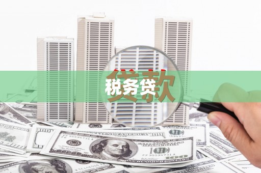 沙洋税务贷
